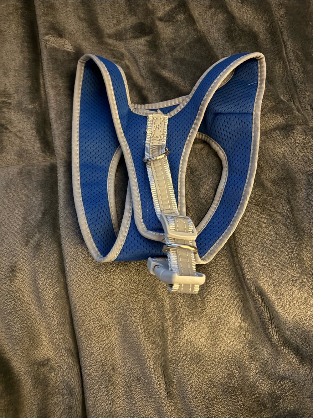 Blue Padded Dog Harness with Reflective Trim